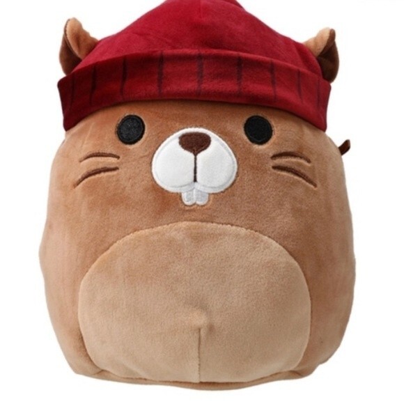 NEW Fall Harvest Chip the Beaver with Hat Squishmallow 7” 2022 - New With Tags - Picture 1 of 5